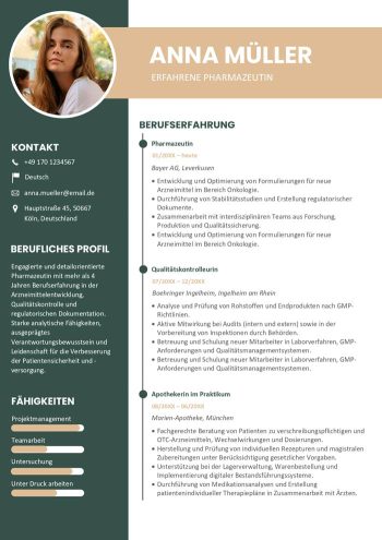 lebenslauf 2 seiten word vorlage