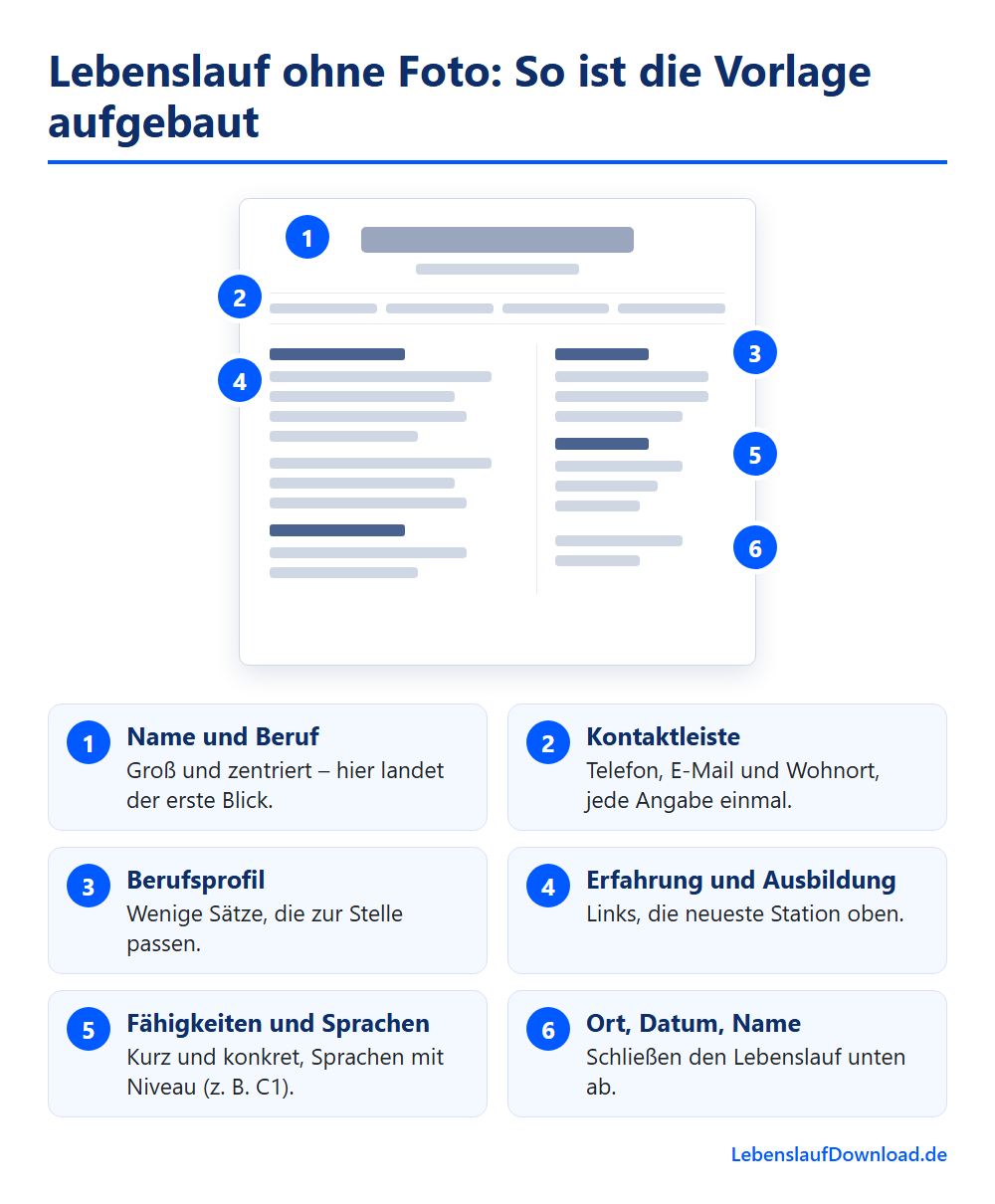 lebenslauf ohne foto aufbau